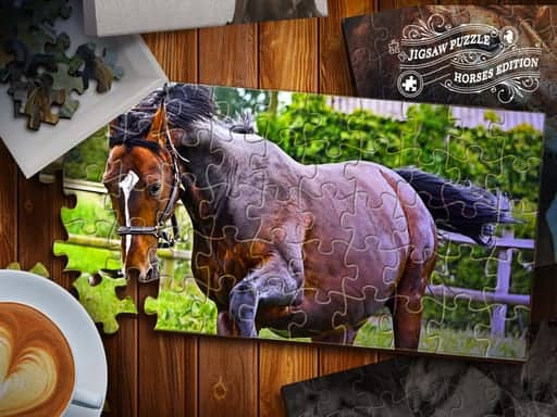 Screenshot von Jigsaw Puzzle Horses Edition