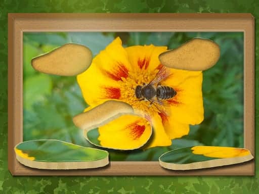 Screenshot von Find & Restore: Hidden Puzzle