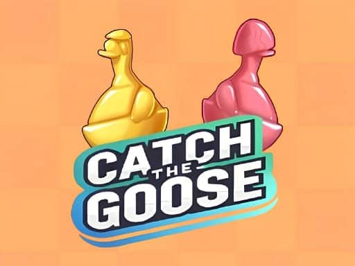 Screenshot von Catch The Goose