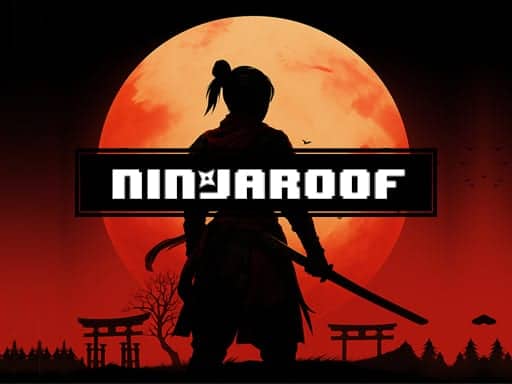 Screenshot von NinjaRoof