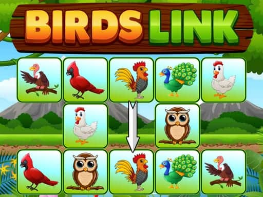 Screenshot von Birds Link