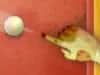 Screenshot von Zombilliards