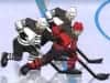 Screenshot von Hockey Hero