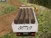Screenshot von Indian Truck Simulator 3D