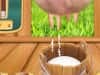 Screenshot von Milk The Cow