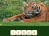 Screenshot von Zoo Trivia