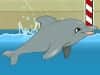 Screenshot von My Dolphin Show