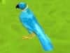 Screenshot von Parrot Simulator