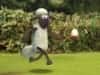 Screenshot von Shaun The Sheep Chick n Spoon